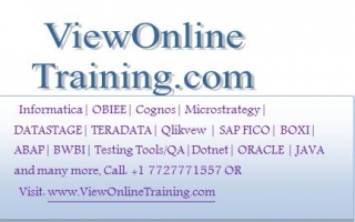 Business Objects Online Training, BOXI Online training