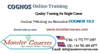 Cognos Online Training by experts with Placements