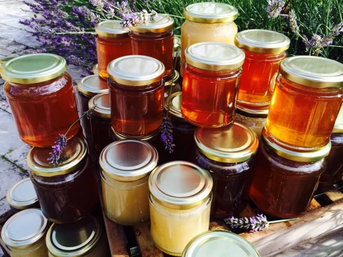 All kinds of bee honey from all over the