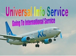 Offline Data Entry Job, Copy Past Job, Content Writing