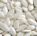 Snow White Pumpkin Seed
