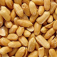 Roasted Salted Peanut 