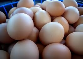 Fresh Chicken Table Eggs 