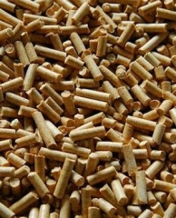 Wood Pellets For Sale