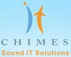 outsource web development company- IT Chimes