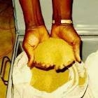 Au Gold Dust And Au Gold Base For Sale (cif Buyers Refinery)