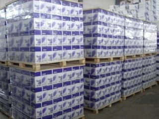 We Have A4 Paper 80 Gsm And 70 Gsm Also We Have A3 Paper A4 Paper In Roll