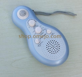 Omejo 32gb Bathroom Spy Radio Hidden Camera Waterproof Motion Detection And Remote Control