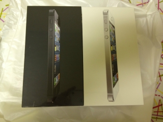 Apple iPhone 5 16gb black and white