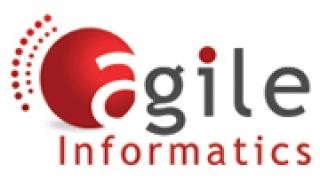 It Staffing Services