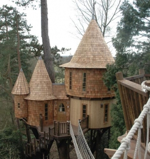 Design Masters Of Tree Houses