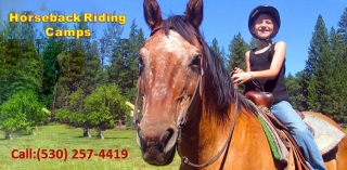Horseback Riding Camps