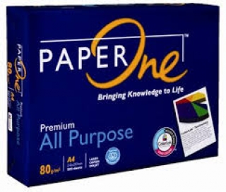 Hammermill Paper