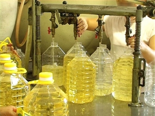 Palm Oil,sunflower Oil,rapeseed,corn Oil