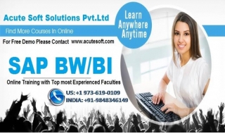 Sap Bw/bi Online Training