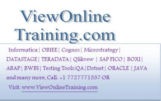Business Objects Online Training, Boxi Online Training
