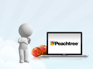 Peachtree Hosting Services