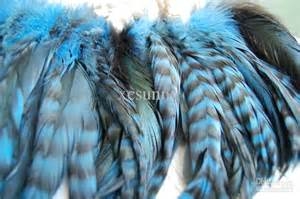  Quality Grizzly Rooster Feathers for hair extensions - Kodungallur.  FEATHERS -Solid Burnt Orange -Orange Grizzly -Solid Yellow -Yellow Grizzly -Solid Turquoise -Turquoise Grizzly -Olive Green -Solid Purple -Purple Grizzly -Solid Pink -Pink Grizzly 