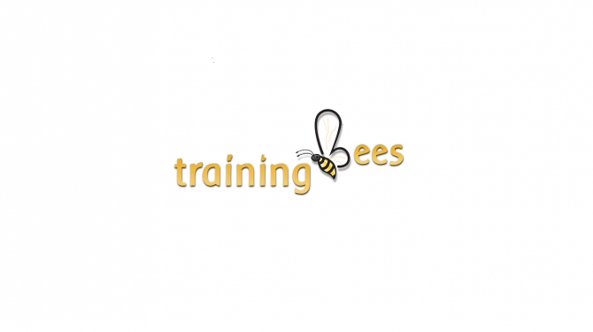 Hadoop online training at trainingbees