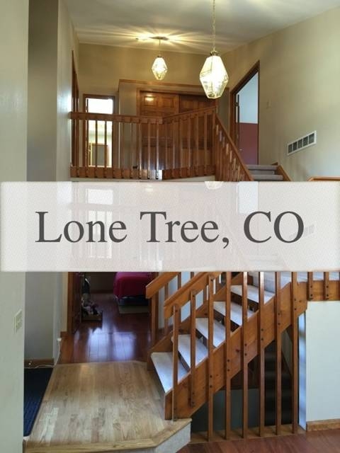 Former model in awesome Lone Tree location. 3 Car Garage!