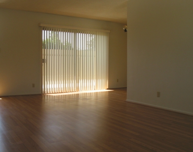 Spacious newly renovated 3rd floor 1 bedroom.