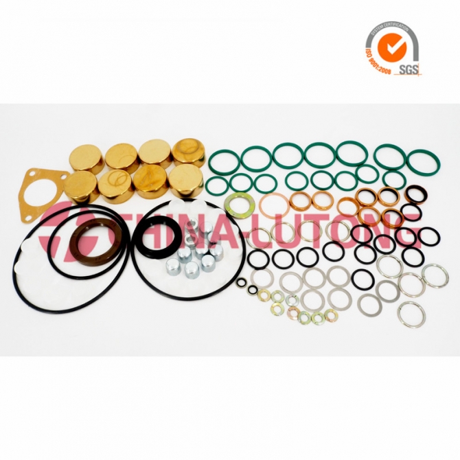 Diesel Pump Repair Kits 2 417 010 022 Gasket Kit And Rebuild Kit 800717 Overhaul Kit