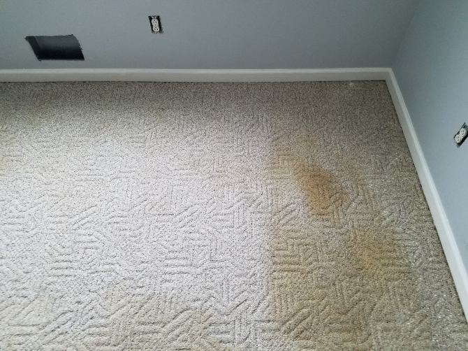 Whole House Carpet Cleaning Special