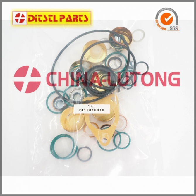 Pump Repair Kits 2 417 010 010800019 Fuel Injector Rebuild Kit