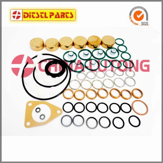Pump Repair Kits 2 417 010 010800019 Fuel Injector Rebuild Kit