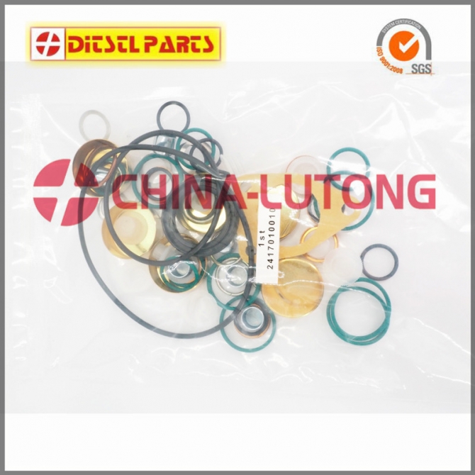 Pump Repair Kits 2 417 010 010800019 Fuel Injector Rebuild Kit