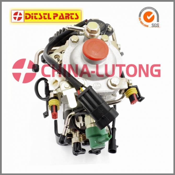 China Fuel Injection Pump Nj-ve4 11e1800l013 Ads-ve4 11e1800l013 For 4jb1t1 493