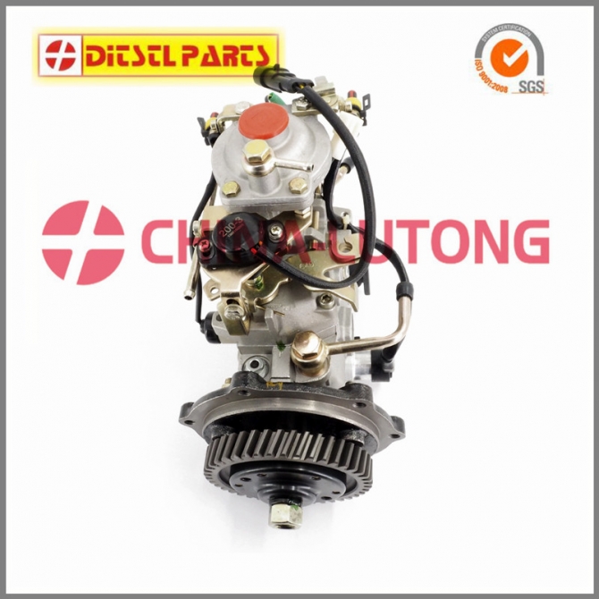  China Fuel Injection Pump Nj-ve4 11e1800l013 Ads-ve4 11e1800l013 For 4jb1t1 493