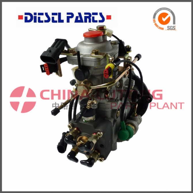 High Quality Diesel Fuel Injection Pumps Ads-ve411e1800l025 For Jmc Jx493zq5c Auto Fuel Pumps Nj-ve411e1800l025.