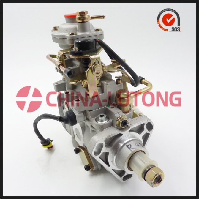 Ve Pump Oem No. Nj-ve411e1600r015 Fuel Injection Complete Pump For Diesel Engine
