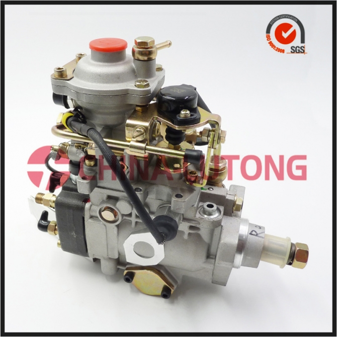 Ve Pump Oem No. Nj-ve411e1600r015 Fuel Injection Complete Pump For Diesel Engine