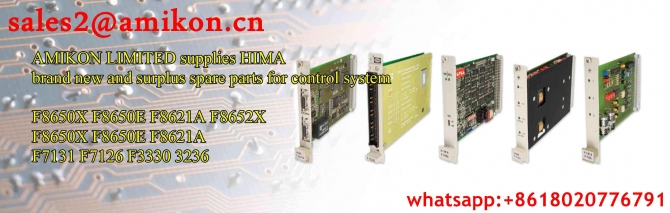 ABB DLM01 sales2@amikon.cn PLC DCS Industry Control System Module