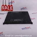 Termination Board	9662-610	Make Triconex		