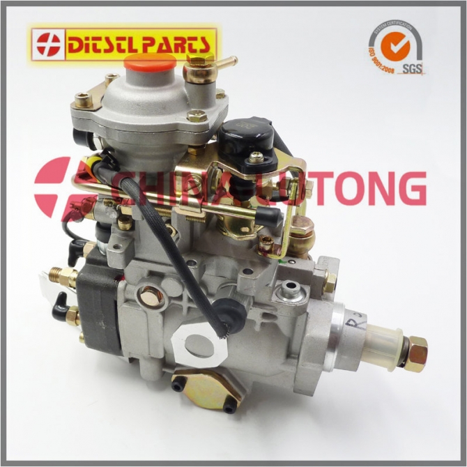 VE Pump OEM NO. NJ-VE411E1600R015 Fuel Injection Complete Pump For Diesel Engine