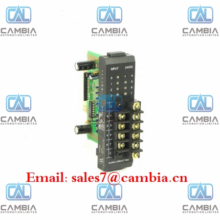 GE FANUC	DS200ADGIH1AAA sales@7cambia.cn