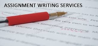 Online Writing Assignments