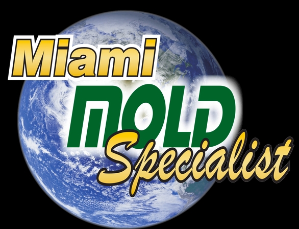 Mold Remediation, Mold Inspection, Mold Removal, Mold Testing In Miami And Fort Lauderdale