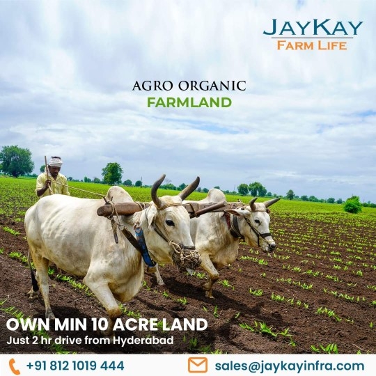 Agriculture land for sale Hyderabad | Jaykay Infra