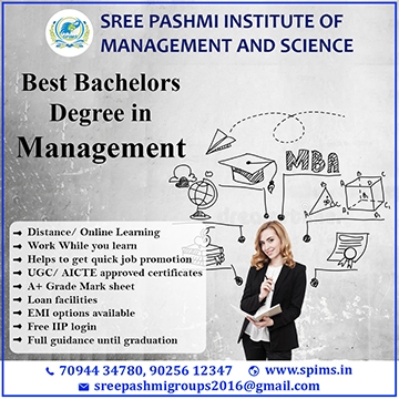 Best Bachelors Degree in Management