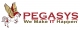 Company PegasysSsystems And Technologies