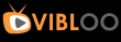 Company Vibloo