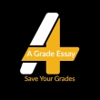 A Grade Essay