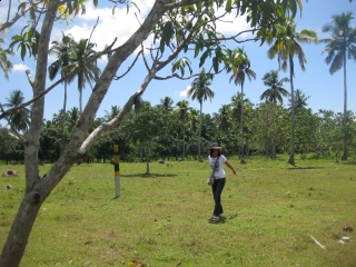 For Sale Lot Residential Area(blk. 3 Lot 5 Inner Lot In Tagdaliao Property)