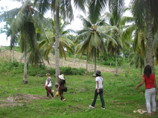 For Sale Lot Residential Area(blk. 3 Lot 5 Inner Lot In Tagdaliao Property)