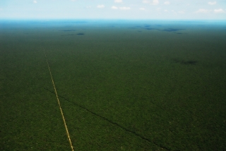 Farms And Land For Sale In Brazil, For Soybean  And Cattle