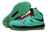 Nike LeBron James 10 Men 37  